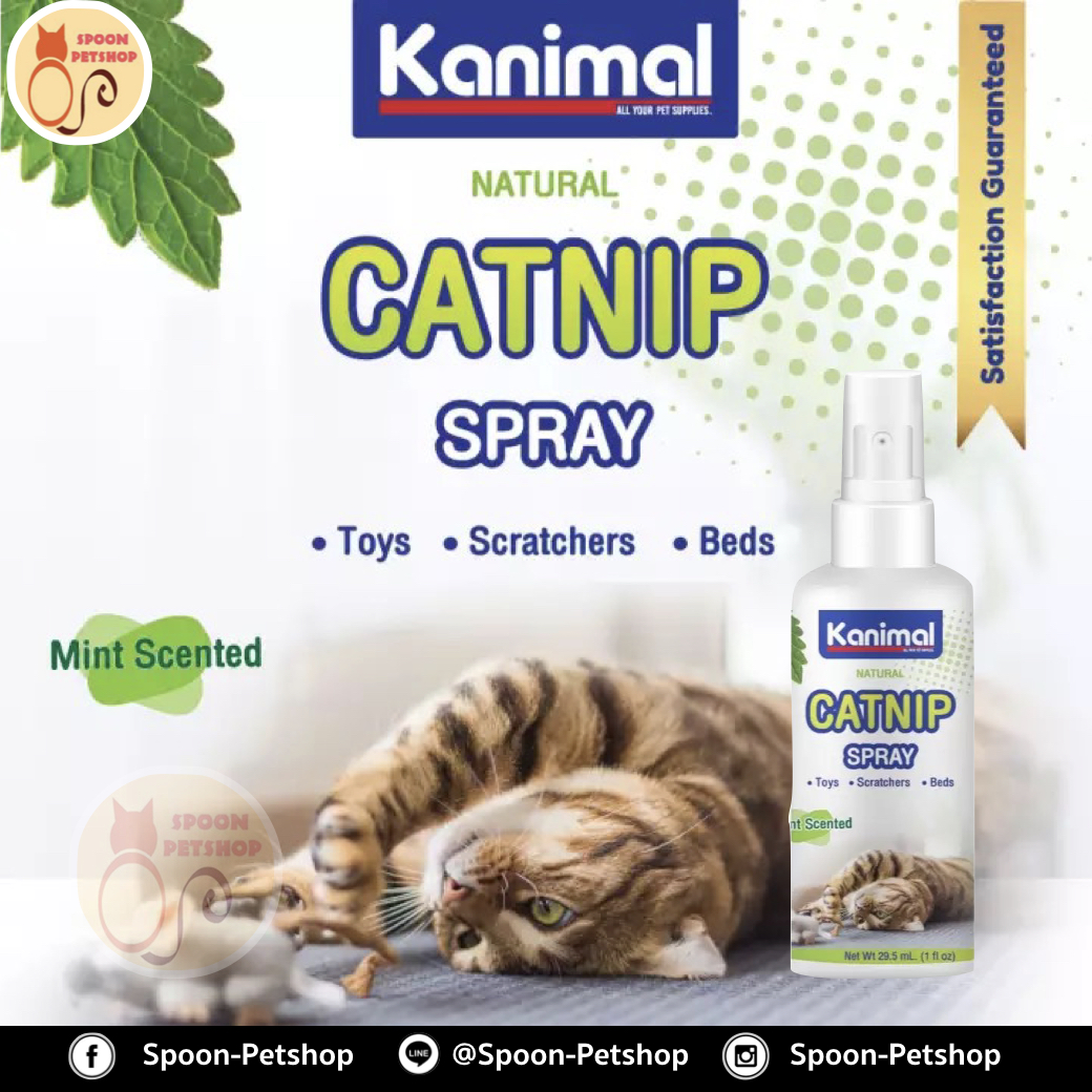 สเปรย์แคทนิป Kanimal Catnip Spray กัญชาแมว สำหรับแมว ปลอดภัยต่อสัตว์เลี้ยง 29.5ml