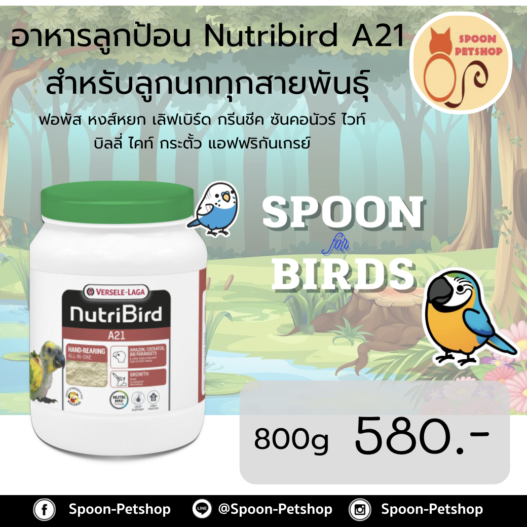 Nutribird A21 อาหารนก ลูกป้อน สำหรับลูกนกทุกทุกสายพันธุ์ 800g