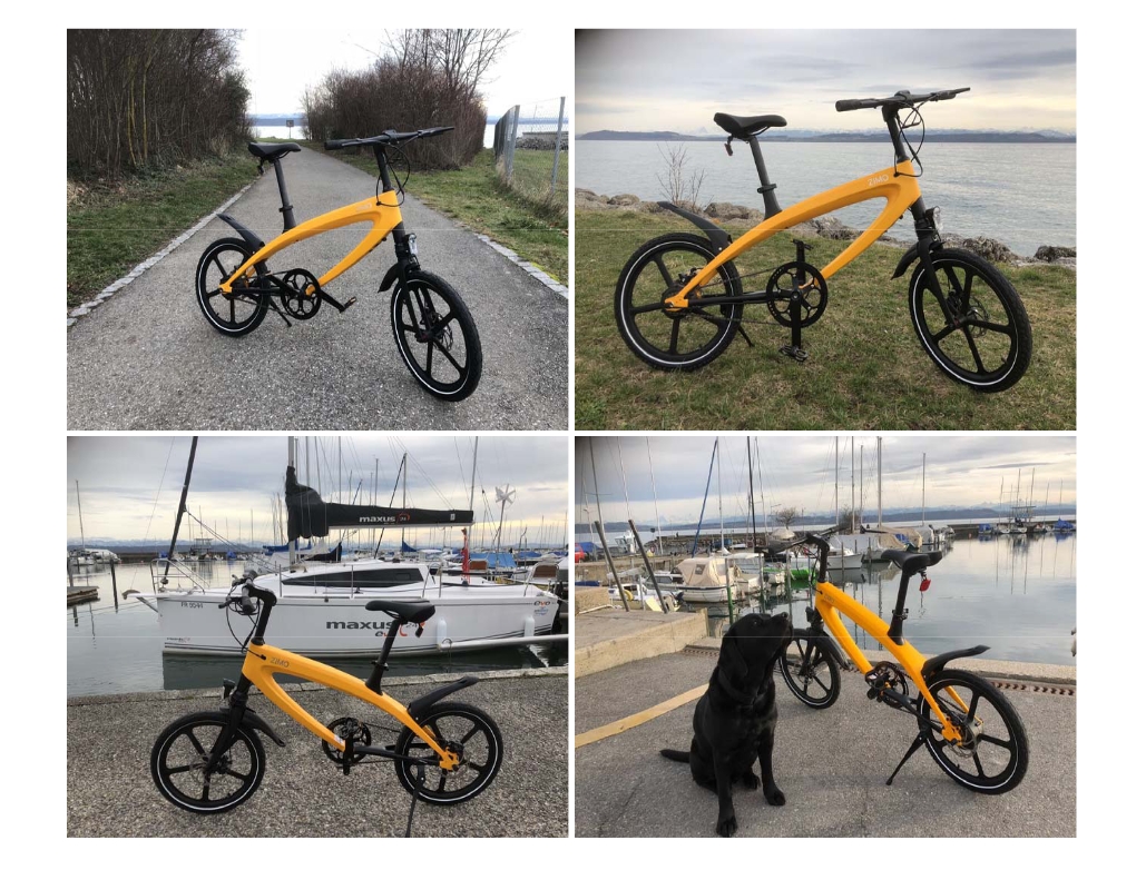 ZIMO X2 Pedal Assist Electric Bicycle Motor 240W/36V 4.4AH Li-ion Battery LG