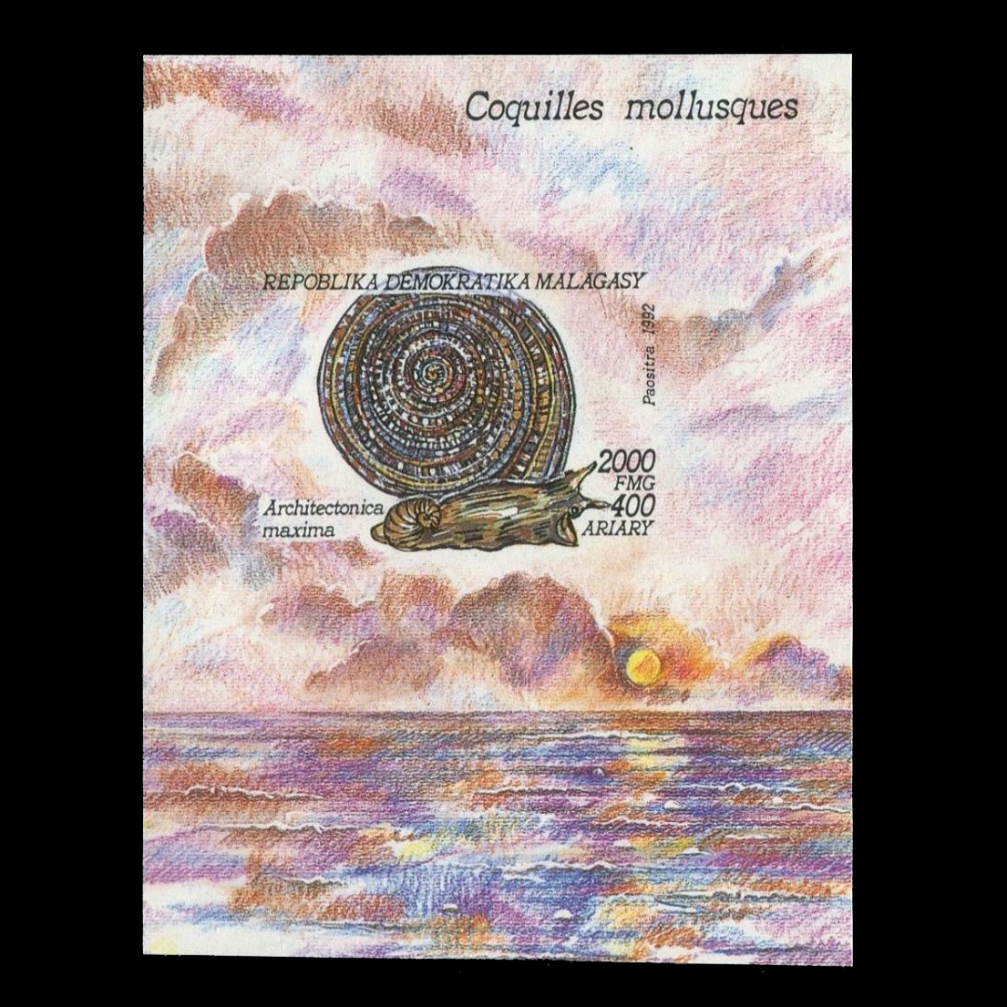 แสตมป์มาลากาซี ชุด MOLLUSKS+1 ชีต ปี 1992 - MALAGASY