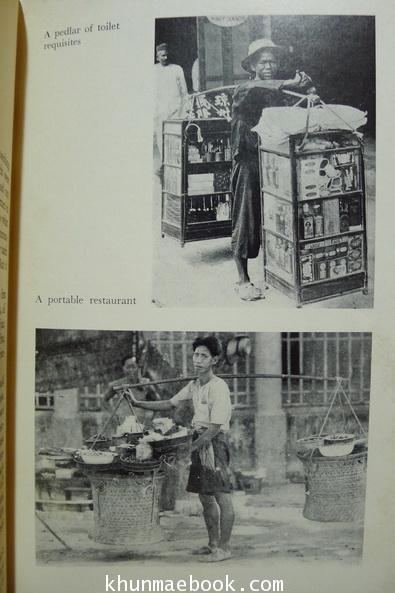 SIAMESE TAPESTRY 1st Edition