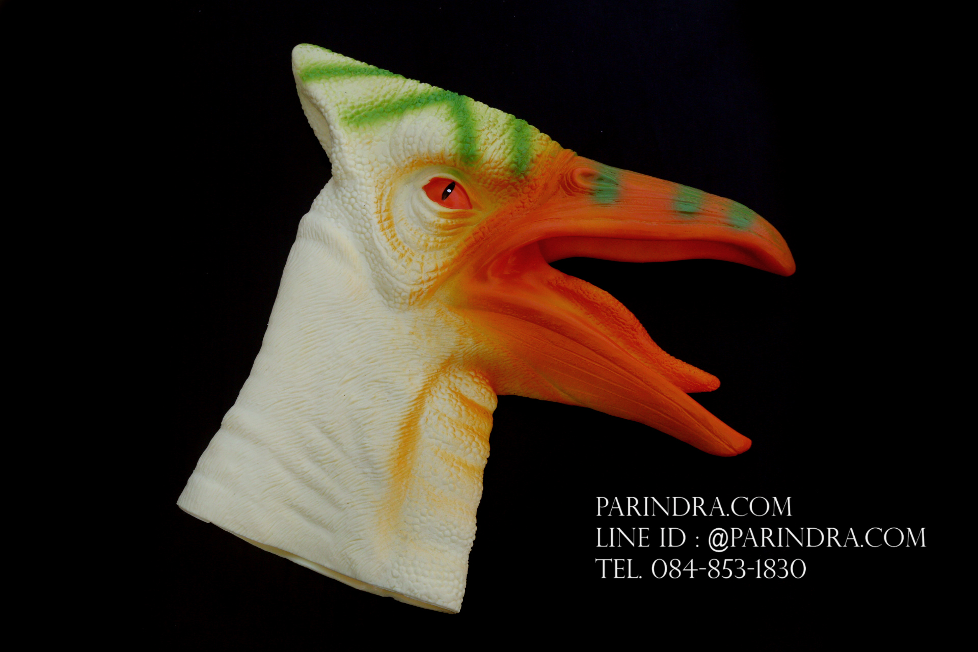 โมเดล ถุงมือยาง หัวนกไดโนเสาร์