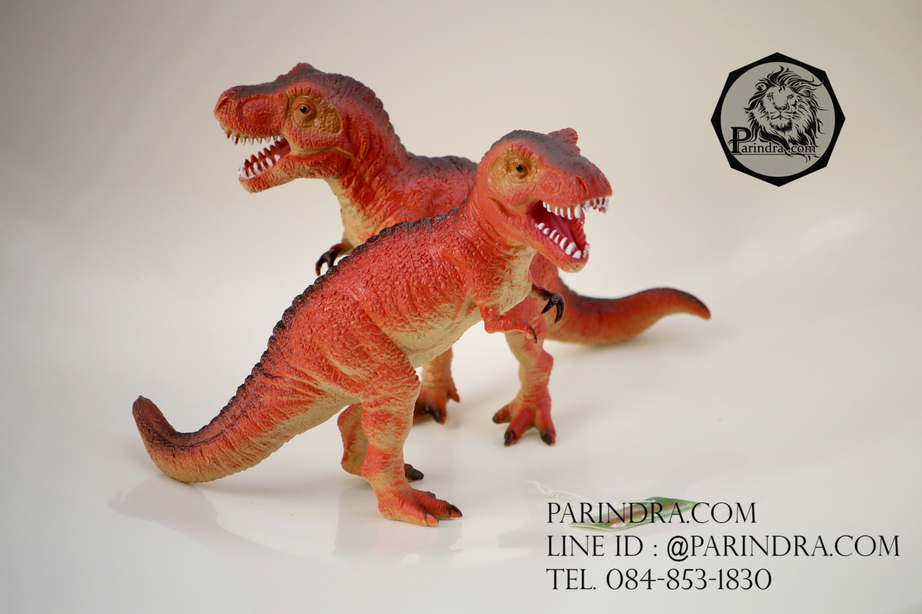 โมเดลไดโนเสาร์ Tyrannosaurus Rex (T-Rex)