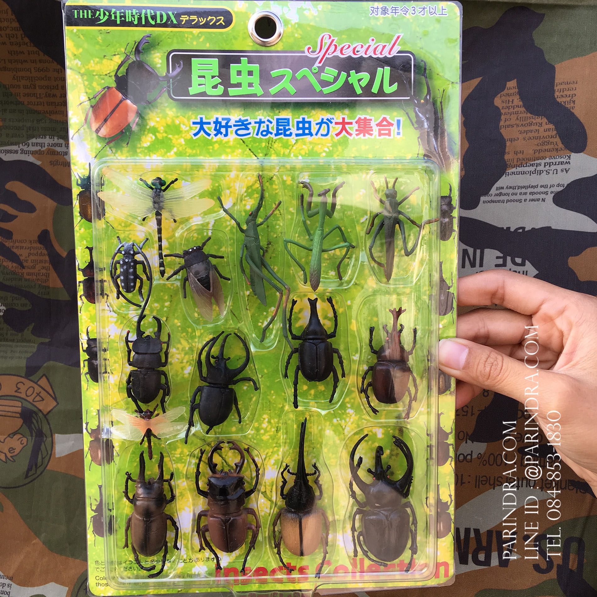 โมเดลชุด ด้วงและแมลงปีกแข็ง ชุดที่ 2