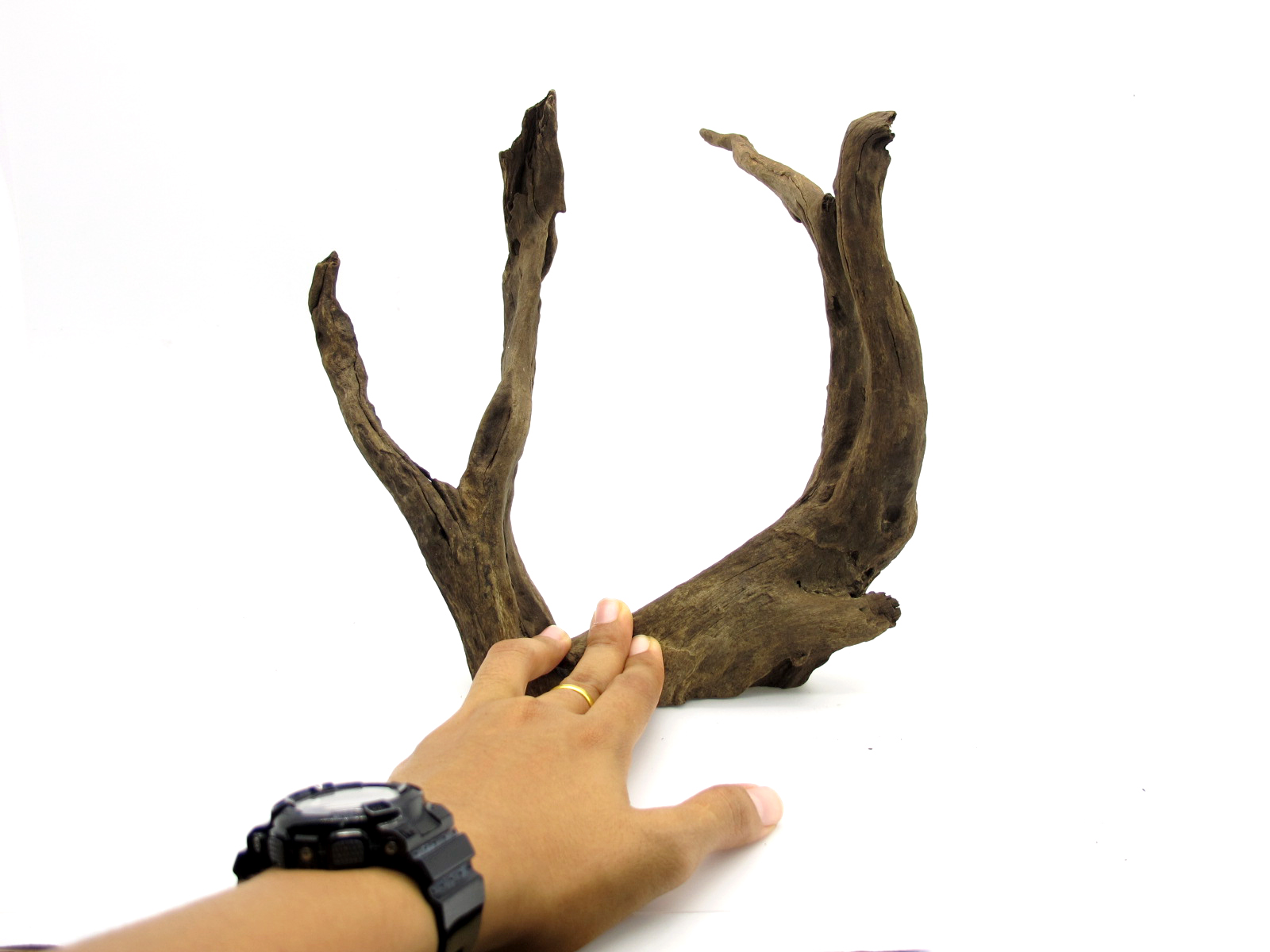 ขอนไม้ตกแต่งตู้ปลาหรือใช้เลี้ยงสัตว์เลื้อยคลาน 059