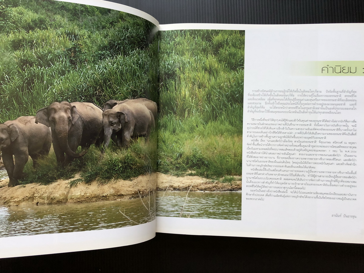 นกและสัตว์ป่าเมืองไทย สายใยแห่งธรรมชาติ