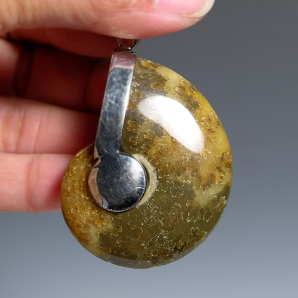 จี้สร้อยคอฟอสซิลหอยแอมโมไนท์ สำหรับห้อยคอ หรือพวงกุญแจ ACC1