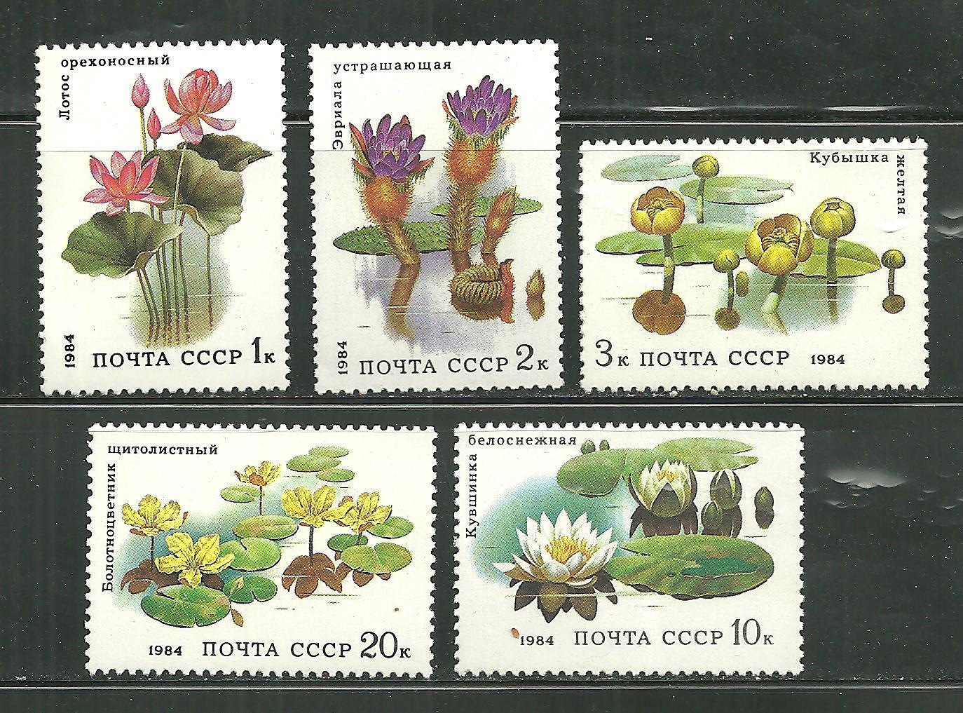 แสตมป์รัสเซีย ชุด Water Plants and Lotus ปี 1984- Russia
