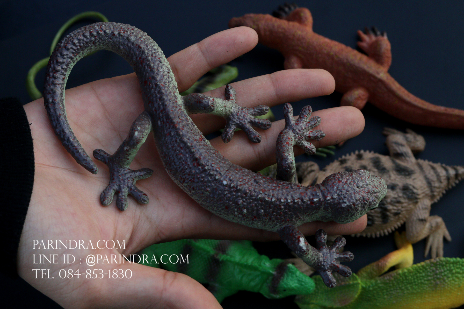 โมเดลสัตว์ชุด รวมสัตว์เลื้อยคลาน Reptile MIXED