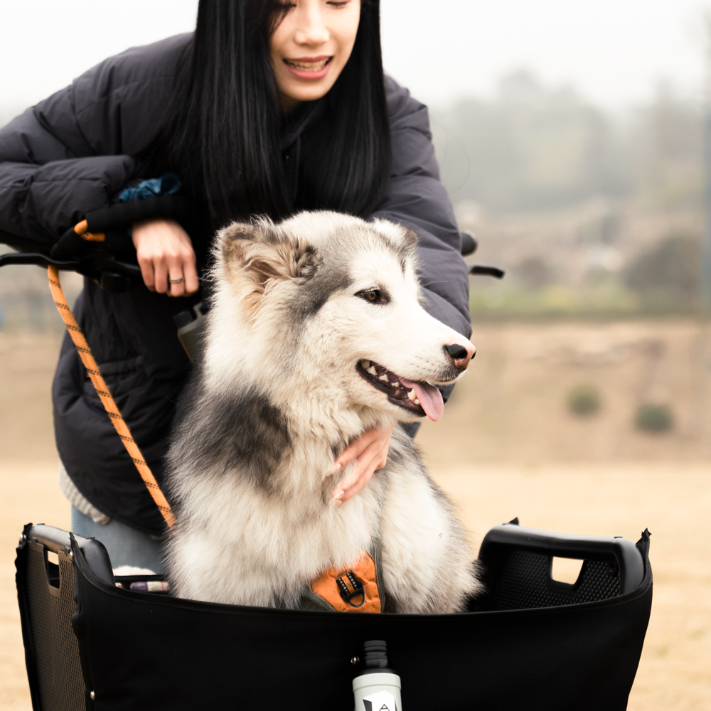 Atmose Mini Cargo 2025 – จักรยานไฟฟ้ามินิคาร์โก 3 รุ่น Hub Motor / Mid Drive / ธรรมดา | ล้อ 16/20 นิ้ว | รับน้ำหนัก 175kg