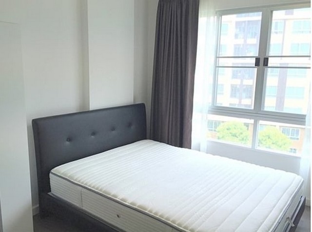 ให้เช่าดีคอนโด แคมปัส รังสิต 30 ตร.ม.วิวสระ เฟอร์ครบ เครื่องใช้ไฟฟ้าครบ ใกล้ธรรมศาสตร์รังสิต