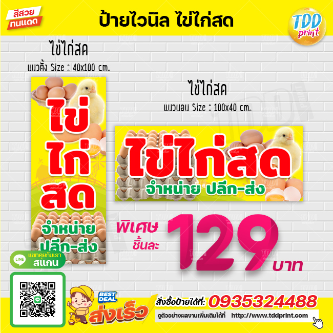 ป้ายไวนิลขายไข่ไก่สด ราคาปลีก-ส่ง ป้ายทนแดด กันน้ำ ภาพคมชัด สีสวยสดใส พร้อมใช้งาน