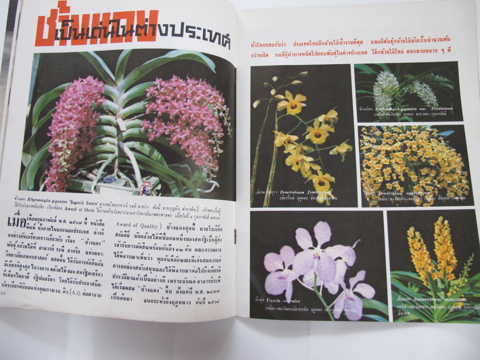 นิตยสาร "เสรีภาพ" ฉบับที่ 109