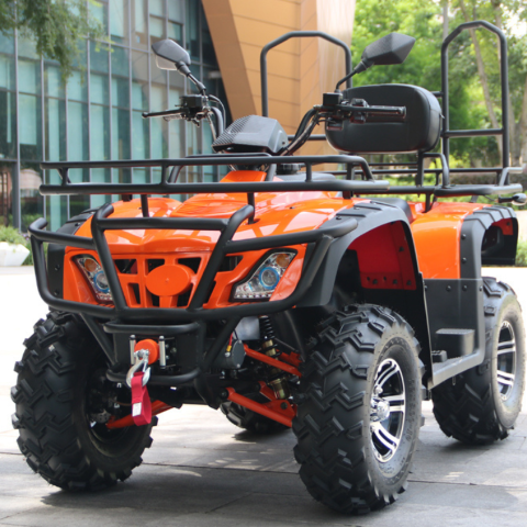 CIBBDEAR SS200 ATV 200cc Four-Wheeler - Three Lions Mountain Desert ATV