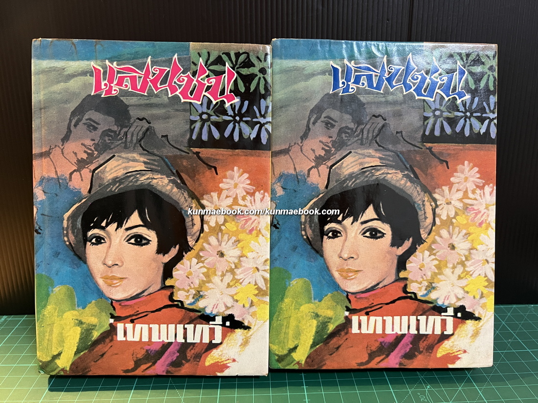 แสนซน ( 2 เล่มชุด ) ผลงานของ เทพเทวี