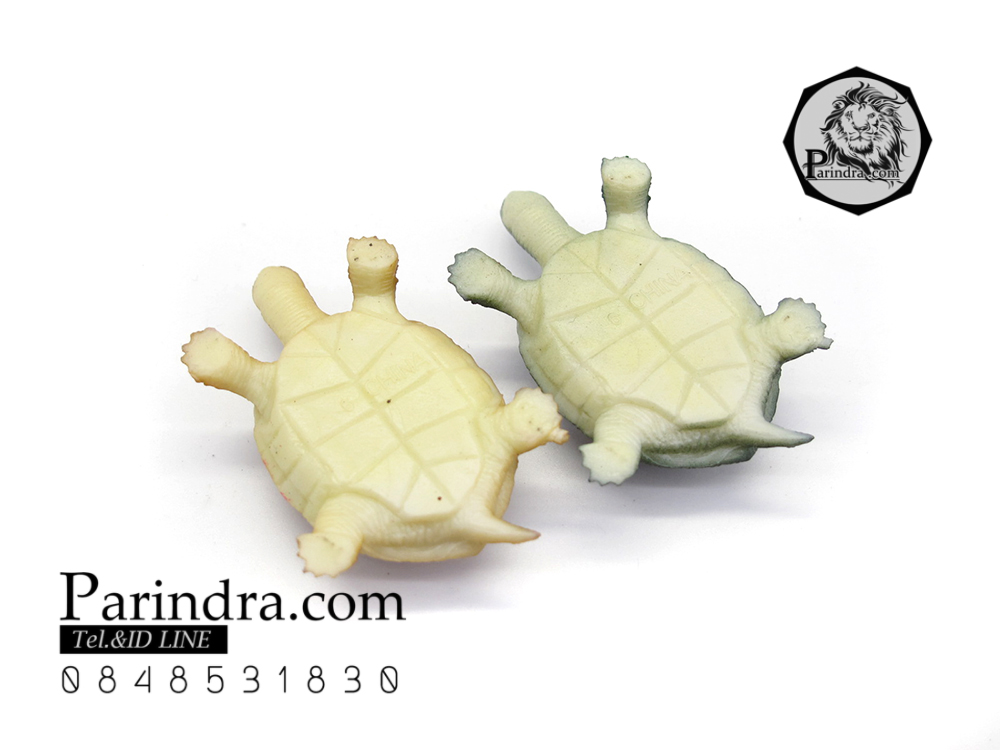 โมเดลเต่า ชุดคู่สองตัว