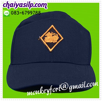 ชุดชรบ. ชุดรักษาความปลอดภัยภายในหมู่บ้าน