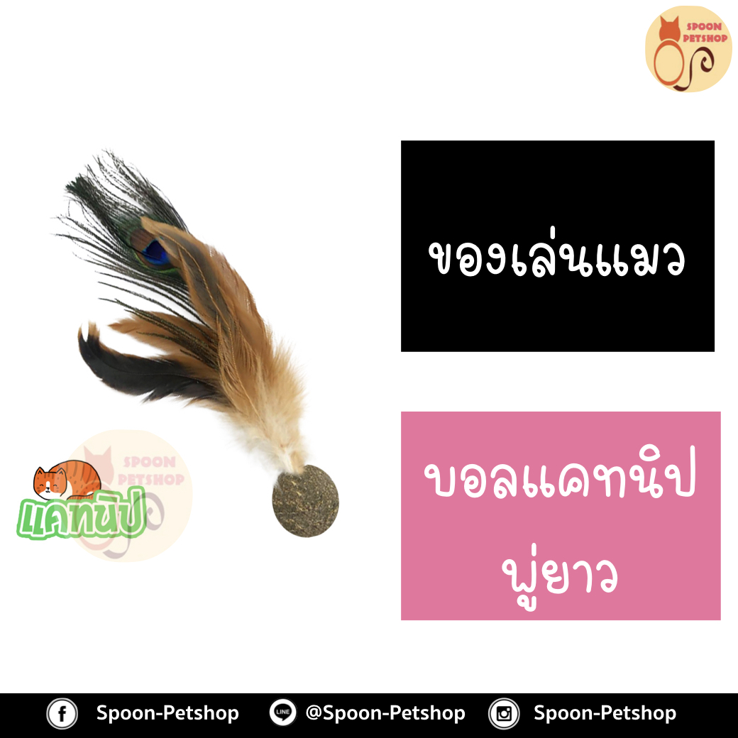 บอลแคทนิป พู่ยาว สำหรับแมว ทำจากธรรมชาติ ปลอดภัยต่อแมว