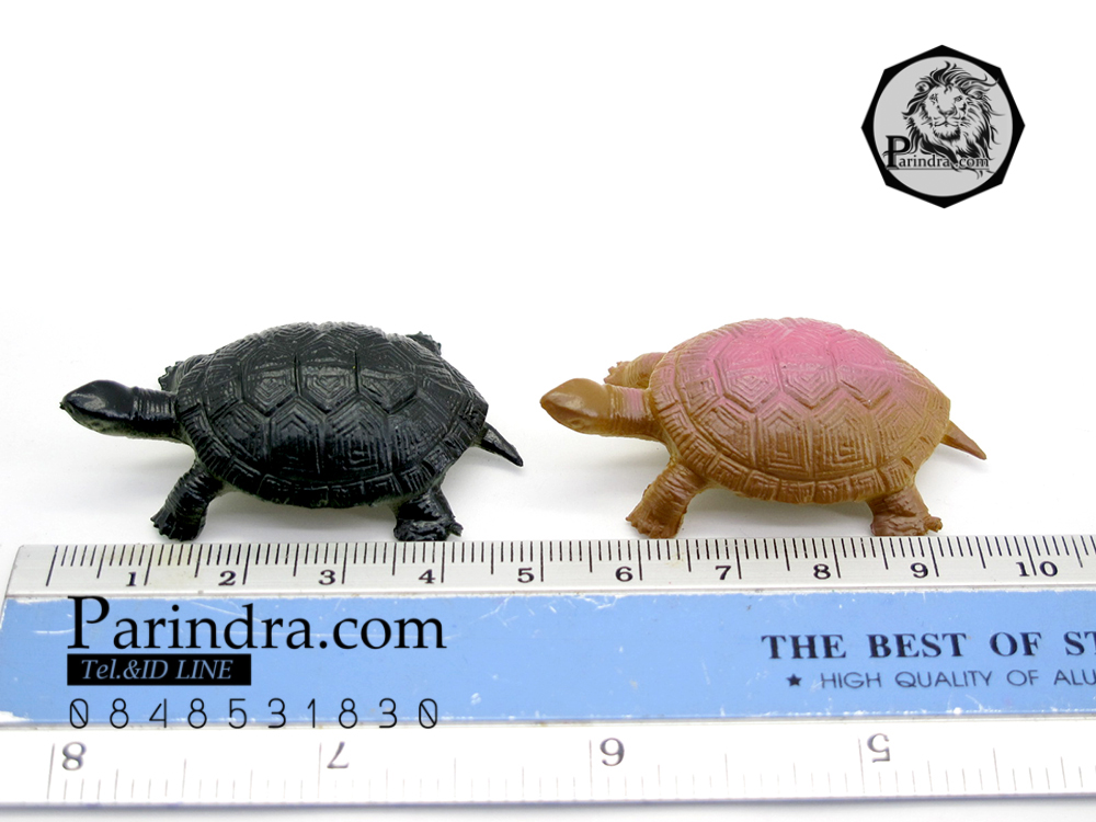 โมเดลเต่า ชุดคู่สองตัว