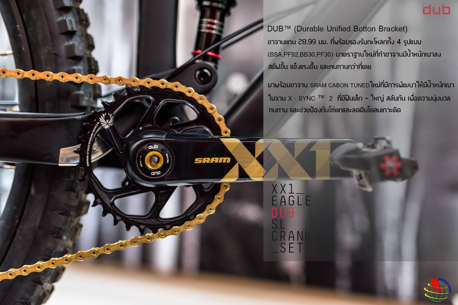 ชุดขับเคลื่อน SRAM XX1 EAGLE GROUPSET DUB , 1X12 SPEEDs (ไม่รวมกะโหลก) สีทอง