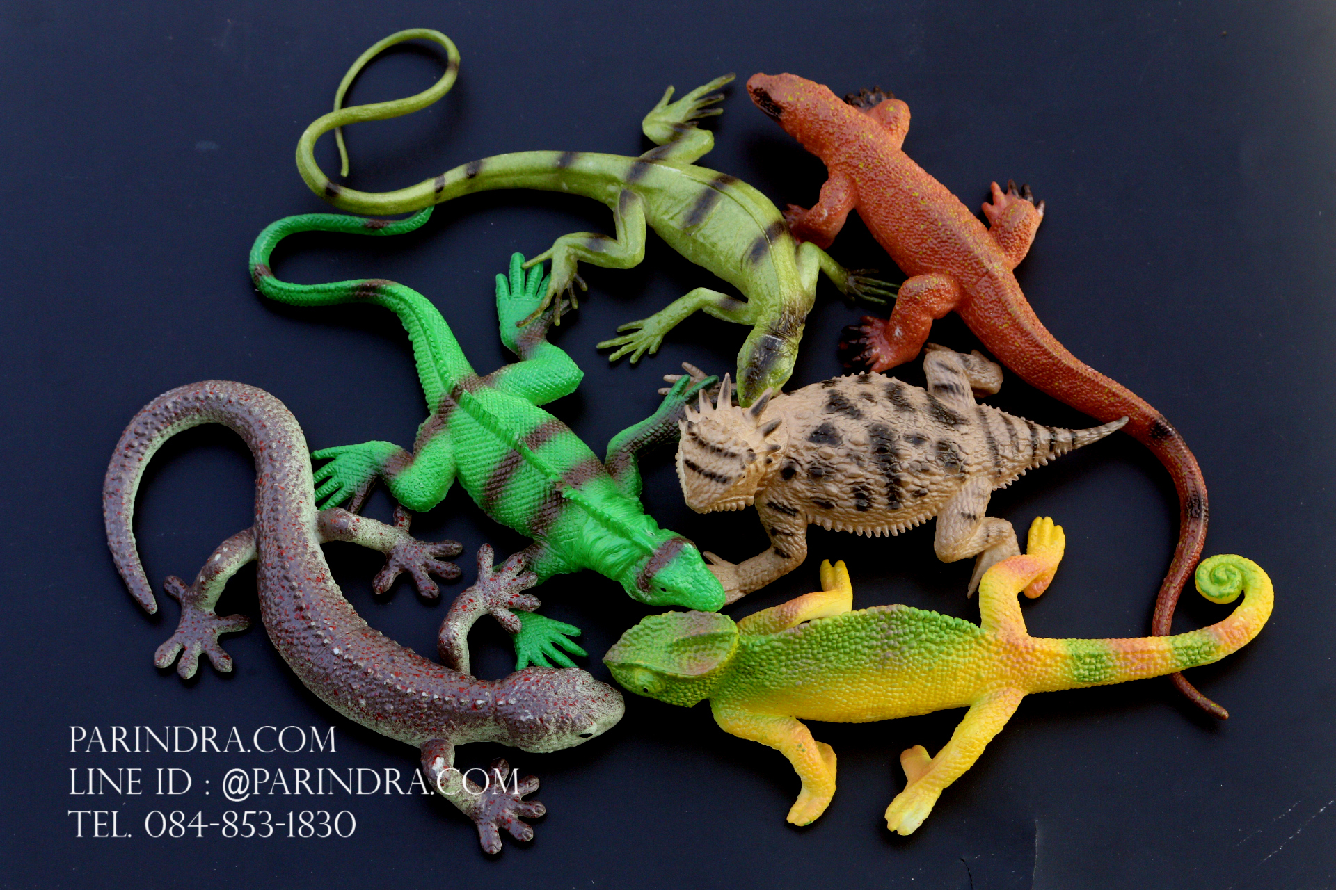 โมเดลสัตว์ชุด รวมสัตว์เลื้อยคลาน Reptile MIXED