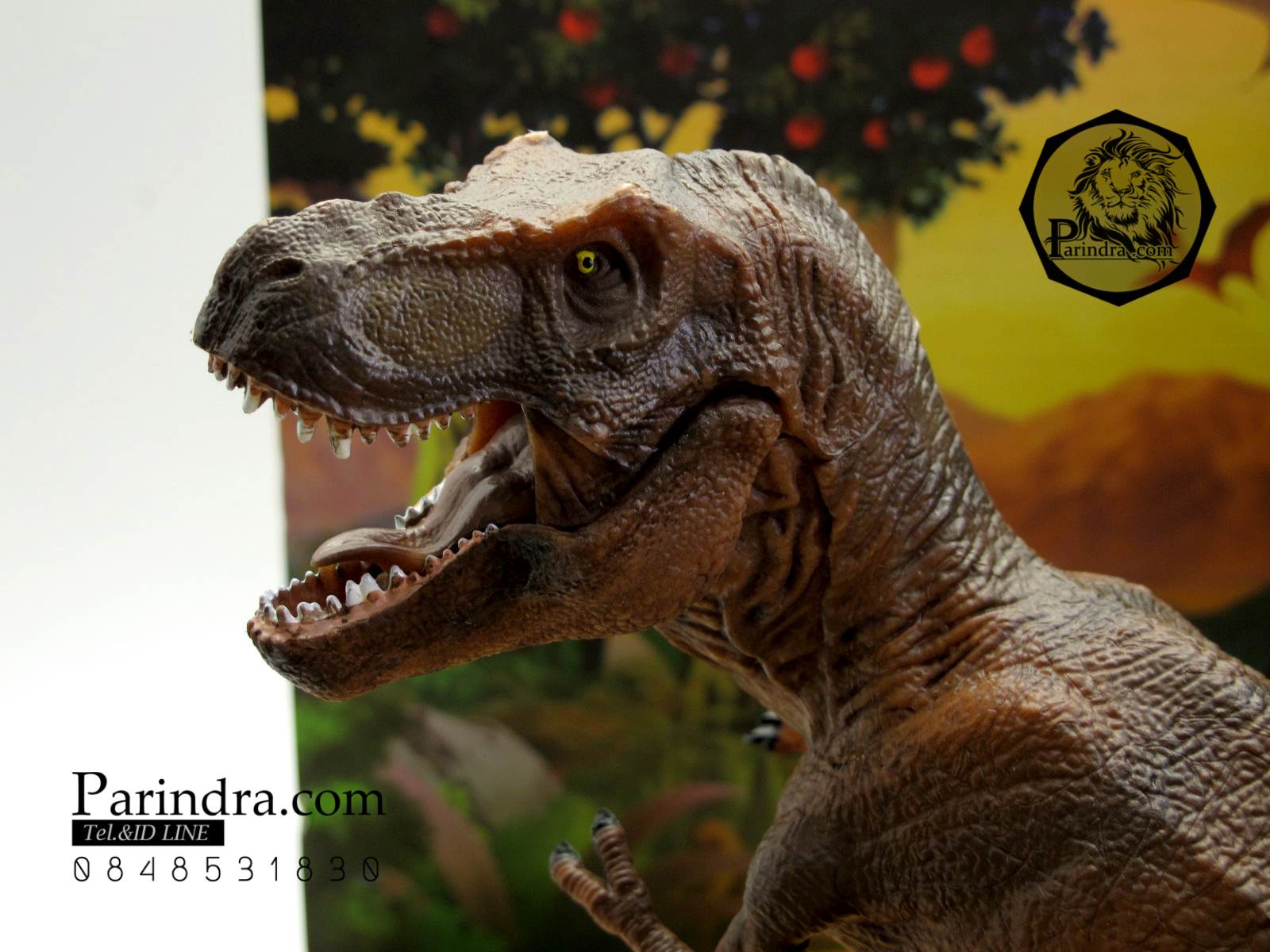 โมเดลไดโนเสาร์ Collection Dinosaur World T-rex ทีเร็กซ์