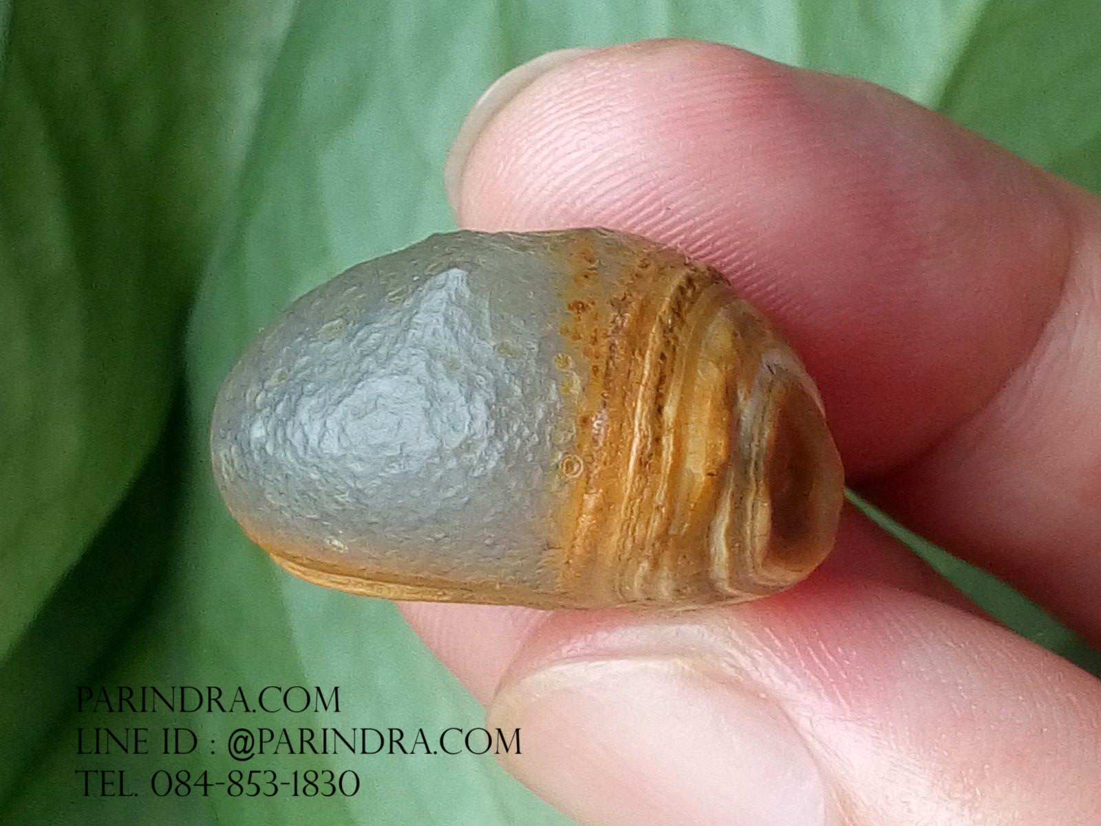 หินรูปทรงประหลาดจากทะเลทรายโกบี GOBI Eye Stone #GOBI001