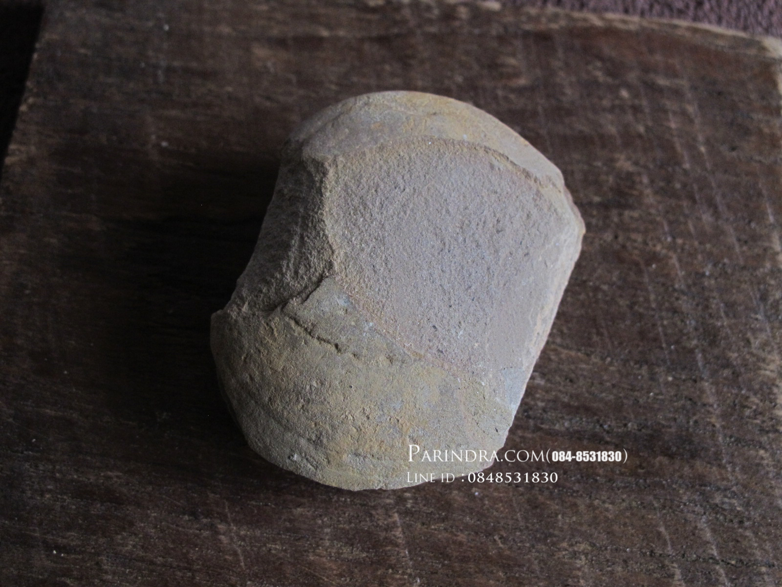 ฟอสซิลใบเฟิร์น (Neuropteris) แท้ 100% MAZON CREEK Illinois, USA #FRN000