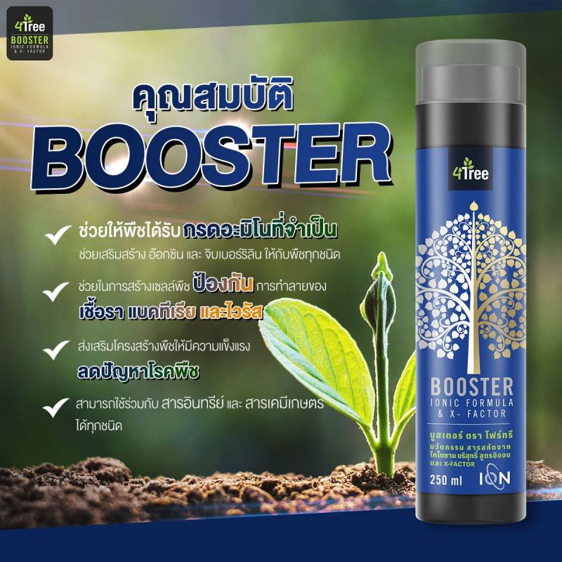4Tree(โฟรทรี) ชุดขายดี 3 ซอง 1200บาท ปกติ 1800 ประหยัด 600 บาท