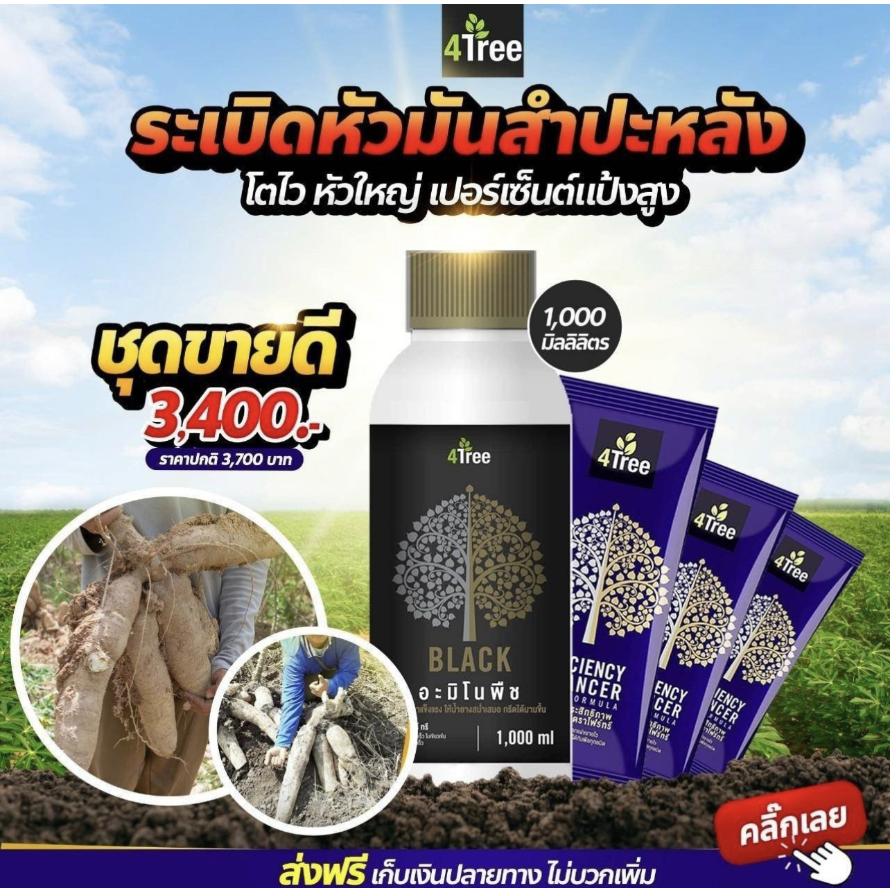 ชุดระเบิดหัวมัน ขนาด 20 ไร่