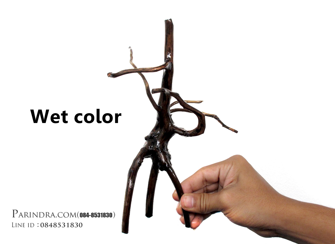 ขอนไม้ตกแต่งตู้ปลาหรือใช้เลี้ยงสัตว์เลื้อยคลาน 015