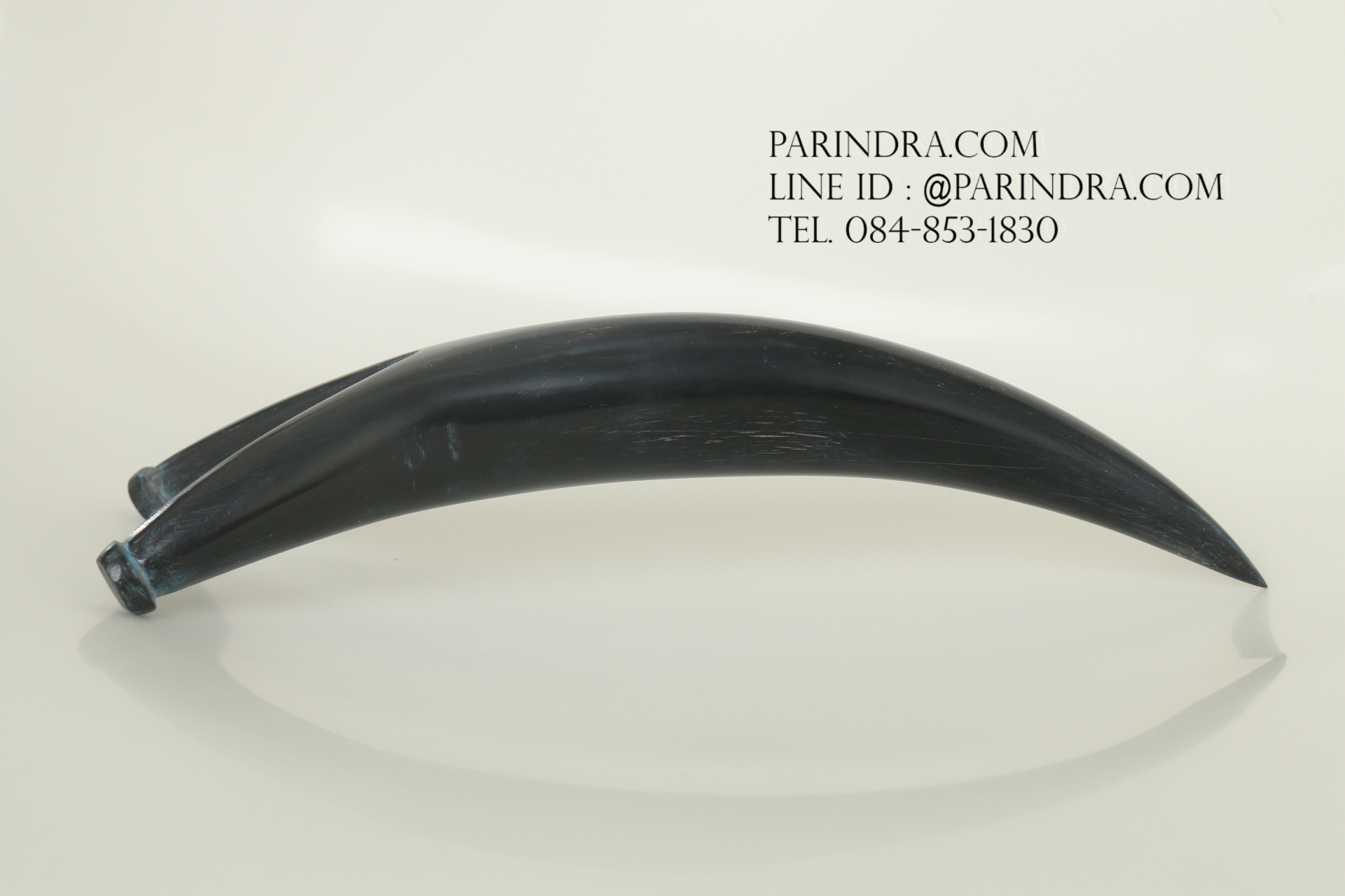 หนังสติ๊กเขาควายตัน สีดำสนิท โค้งงอ เข้ารูปสวยงาม #BAF003