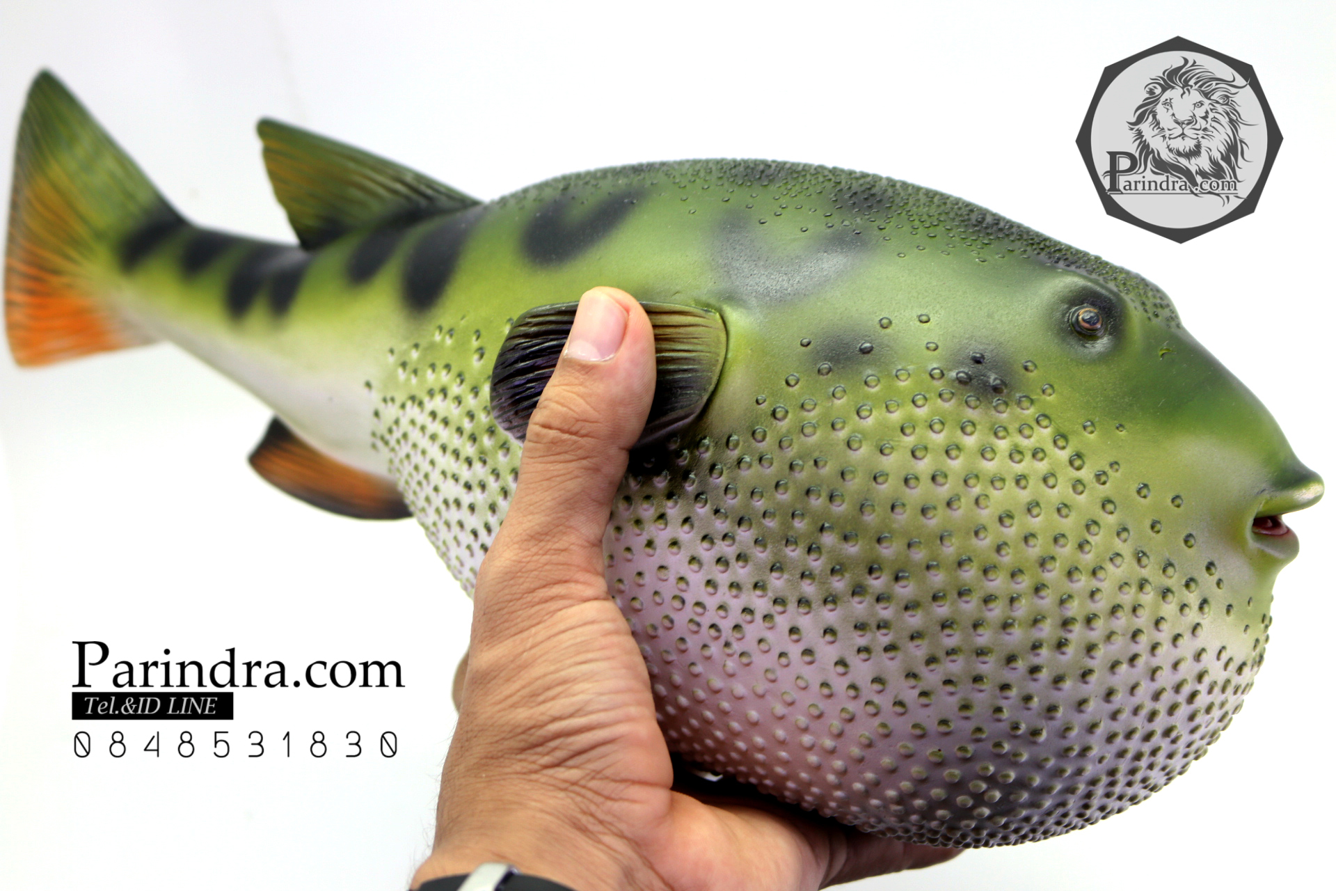 โมเดลปลาปักเป้า PUFFER Fish แบบยางอ่อนนุ่มนิ่ม ตั้งโชว์สวย ขนาดใหญ่ 14 นิ้ว