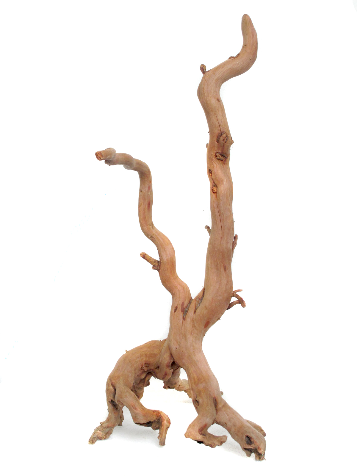 รากไม้แดงตกแต่งตู้ปลาและตู้พรรณไม้น้ำ001