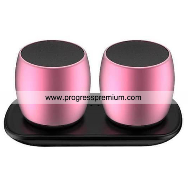 SARDiNE F1 TWS Aluminum Bluetooth speaker