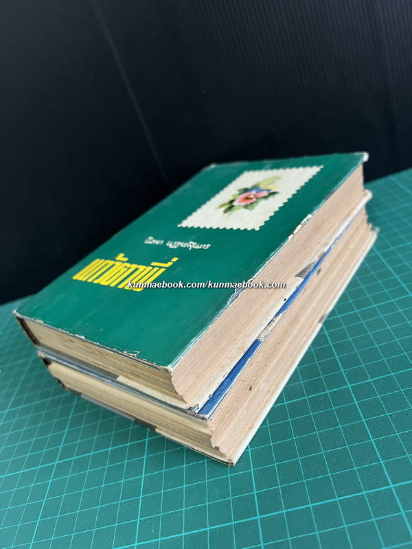 แก้วตาพี่ ( 2 เล่มจบ ) ผลงานของ นิตยา นาฏยะสุนทร