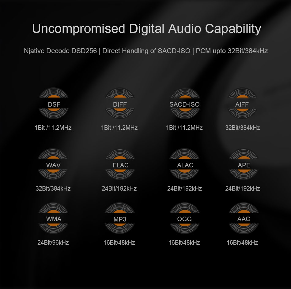 ขาย Cayin IDAP-6 Desktop network player