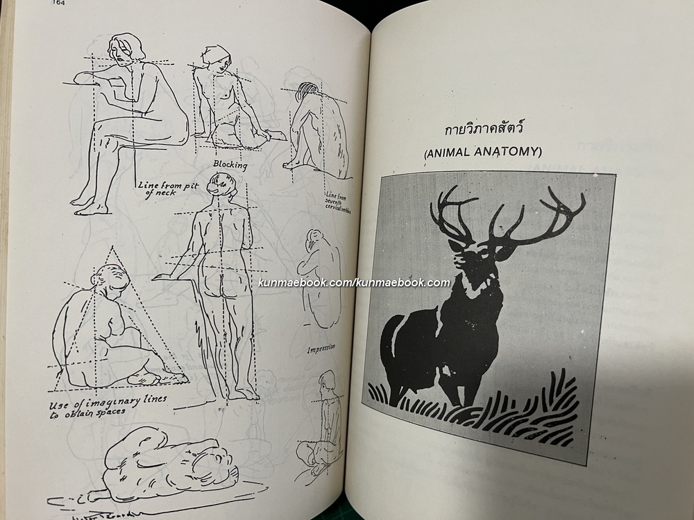 กายวิภาค ฉบับนักศึกษาศิลปะ ผลงานของ บุญเลิศ บุตรขาว