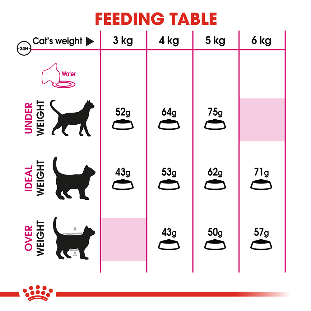 Royal Canin อาหารแมว โรยัล คานิน Exigent Protein Preference 42 แพ็คโรงงาน 0.4kg สำหรับ แมวที่เลือกกินอาหารจากความสบายท้อง 1 ปีขึ้นไป