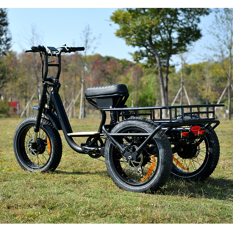 OTMAR OTM-T16 จักรยานสามล้อไฟฟ้า 48V 750W | ยางFATBIKE | วิ่งได้ 220km | ฿69,900