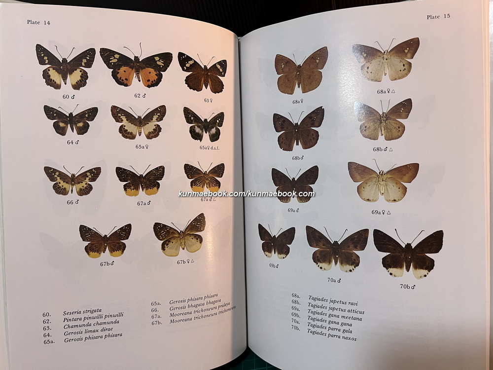 Butterflies in Thailand Volume 5 By Bro.Amnuay Pinratana