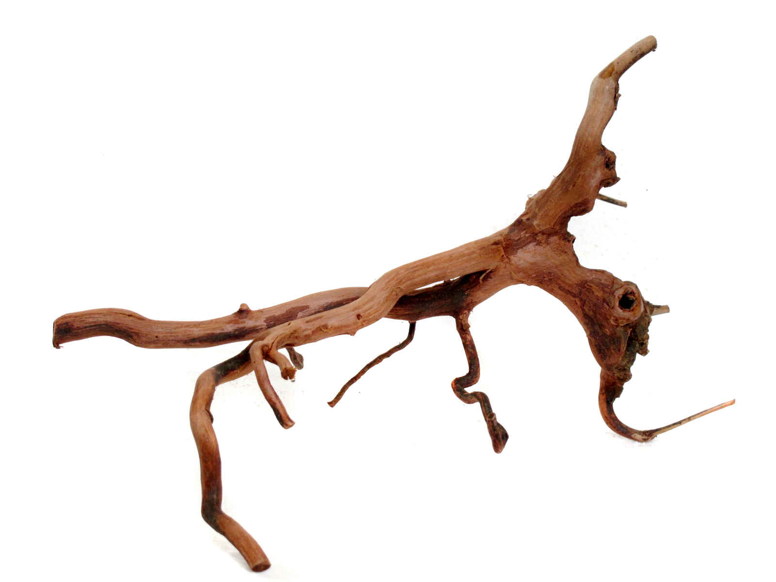 รากไม้แดงตกแต่งตู้ปลาและตู้พรรณไม้น้ำ