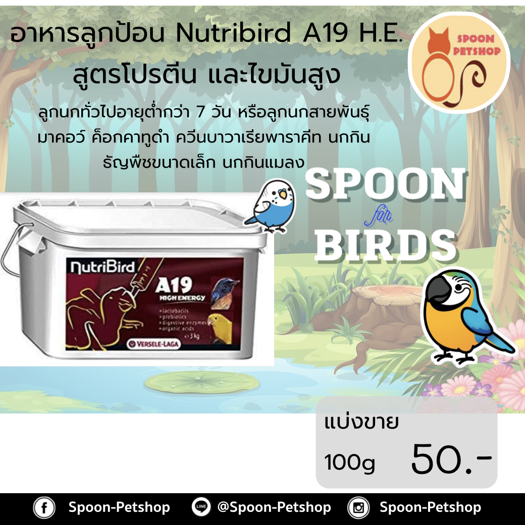 Nutribird A19 HE อาหารนก ลูกป้อน พลังงานสูง สำหรับลูกนกทุกทุกสายพันธุ์ แบ่งขาย 100g