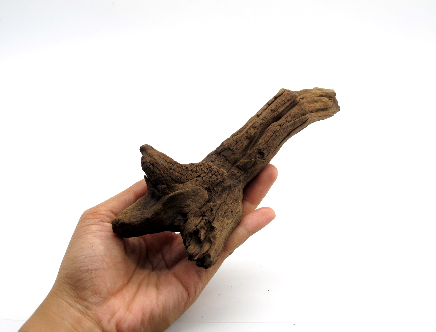 ขอนไม้ตกแต่งตู้ปลาหรือใช้เลี้ยงสัตว์เลื้อยคลาน 066