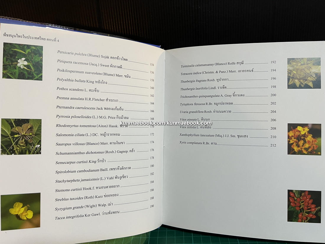 พืชสมุนไพรในประเทศไทย ตอนที่ 4