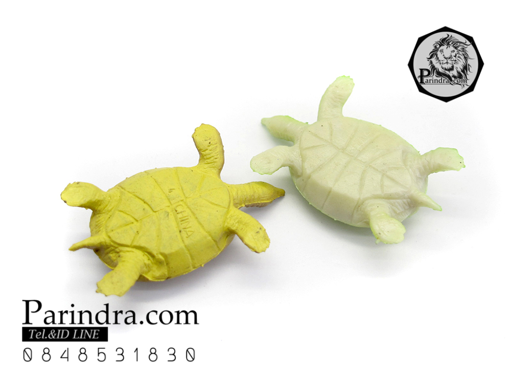 โมเดลตะพาบน้ำ ชุดคู่สองตัว