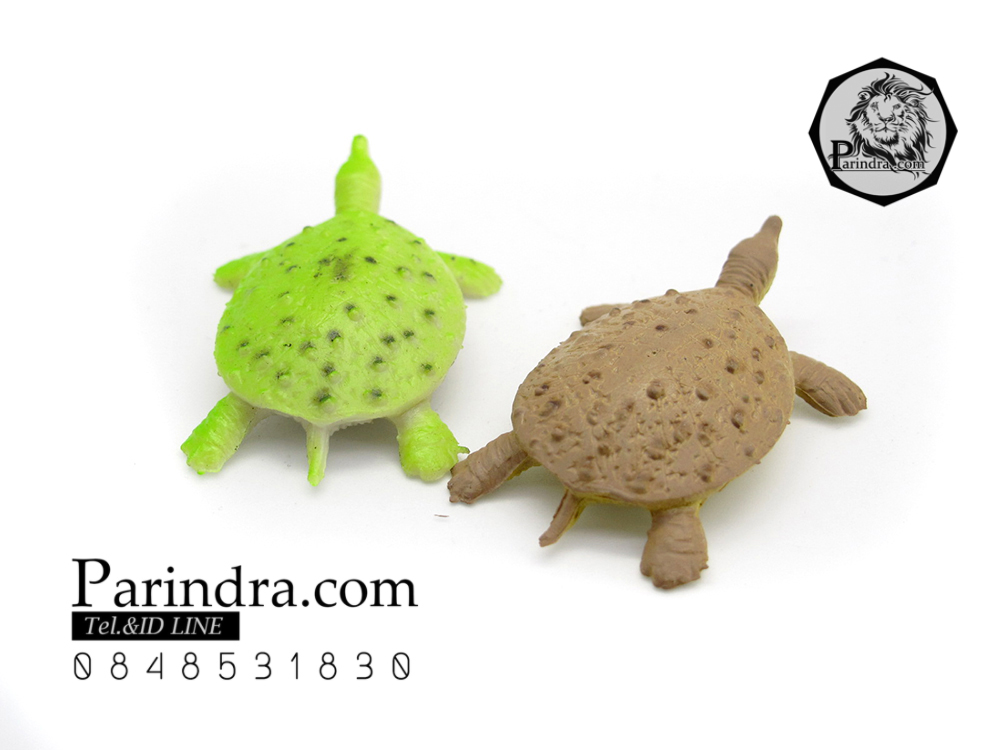 โมเดลตะพาบน้ำ ชุดคู่สองตัว