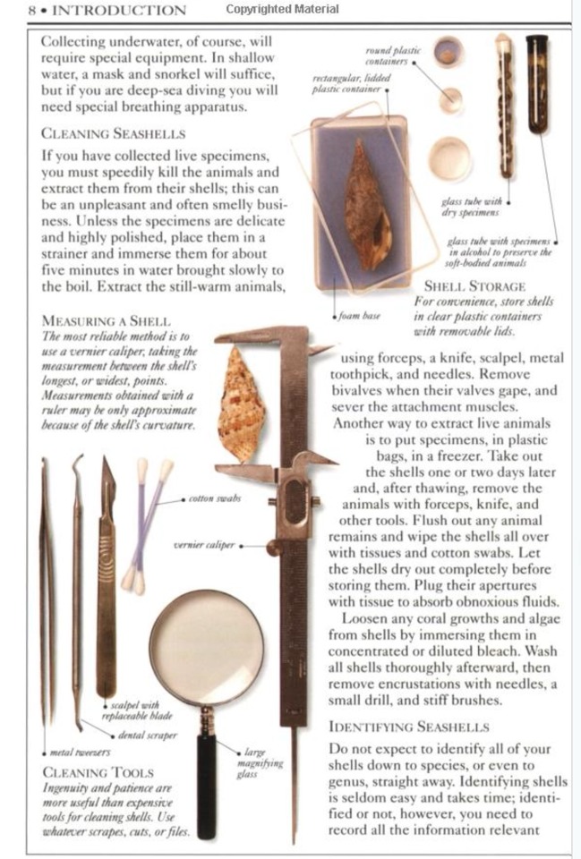 หนังสือคู่มือการสะสมเปลือกหอยของ Smithsonian Handbooks: Shells (หนังสือใหม่ มือ 1)