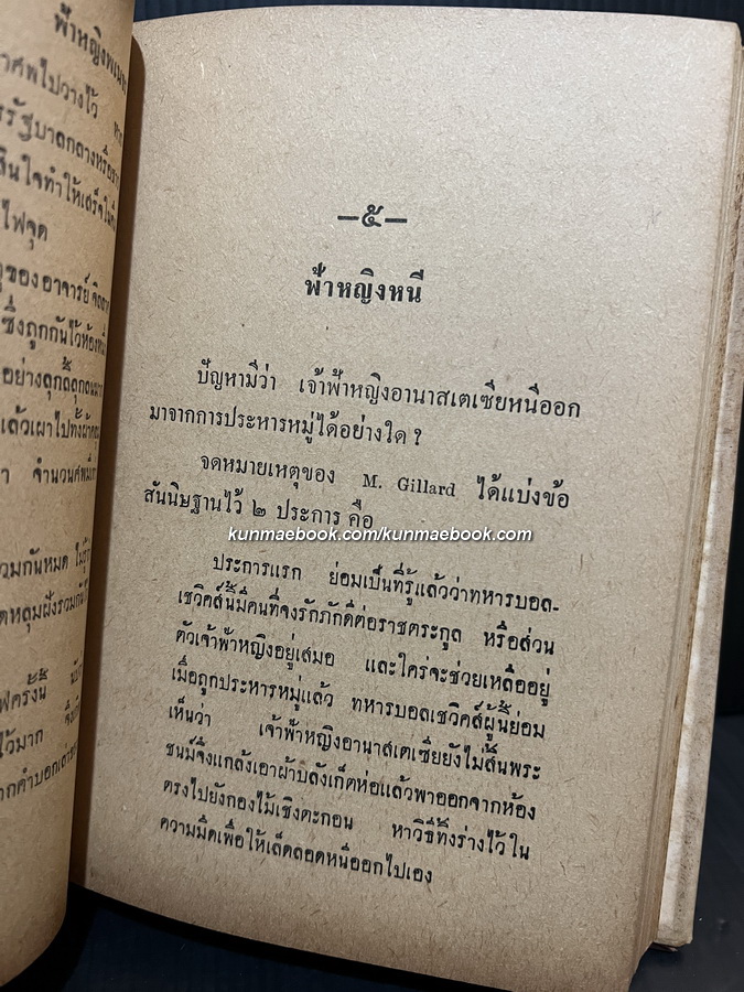 ฟ้าหญิงพเนจร ผลงานของ อุดม ประมวลวิทย์