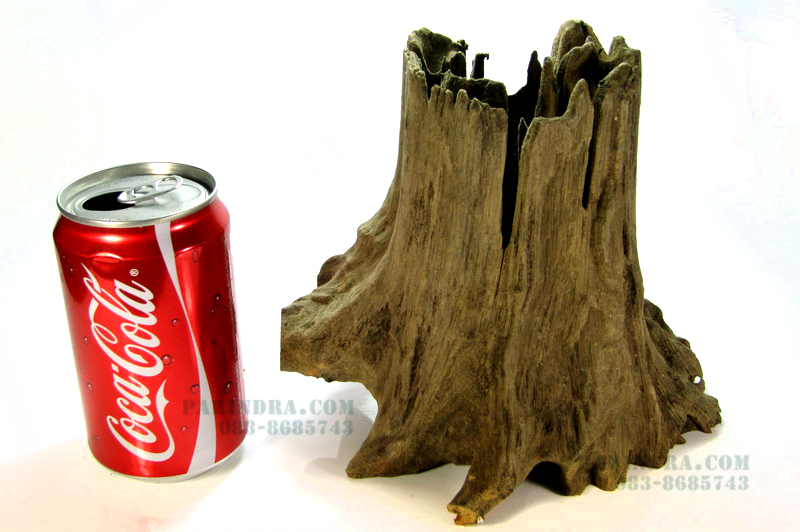 ขอนไม้ ตอไม้ สำหรับตกแต่งตู้ปลา